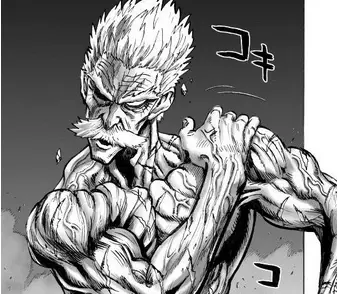 Top 10 Strongest Heroes In One Punch Man