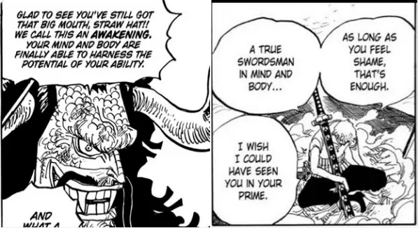 One Piece: Zoro's Grim Reaper Mystery Explained